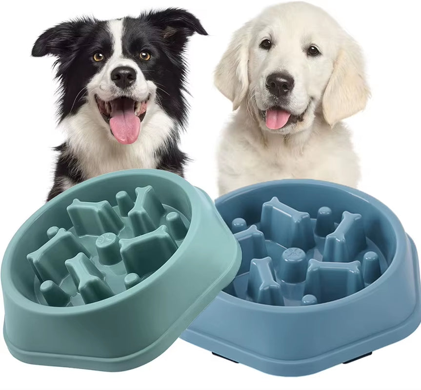 Anti Choking Slow Feeder Dog Bowl Non Slip Puzzle Dish for Small Medium Pets