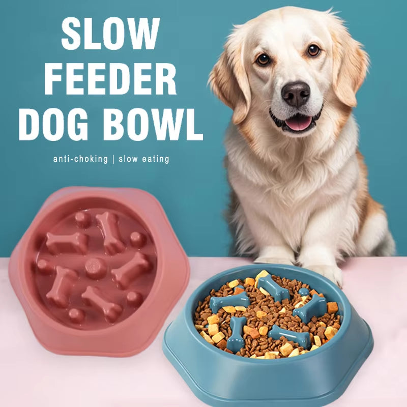 Anti Choking Slow Feeder Dog Bowl Non Slip Puzzle Dish for Small Medium Pets